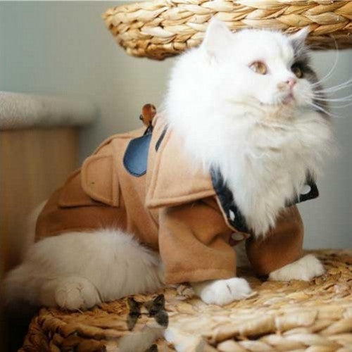 Trench Coat Winter Pet Woolen Jacket