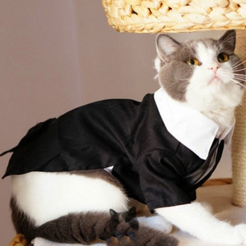 Cats Tuxedo Formal Party Suit