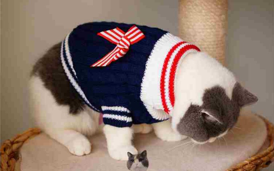 Navy Knitwear Cat Sweater